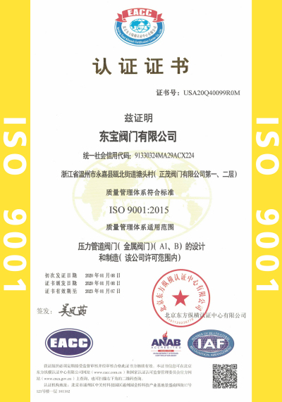 ISO9001国际质量管理体系认证证书